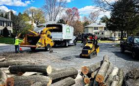 How Our Tree Care Process Works  in  Sanibel, FL